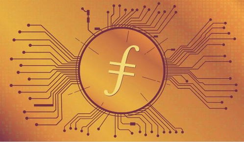 一本萬利的Fil幣礦機代理 適合哪類投資者的投資管理指南